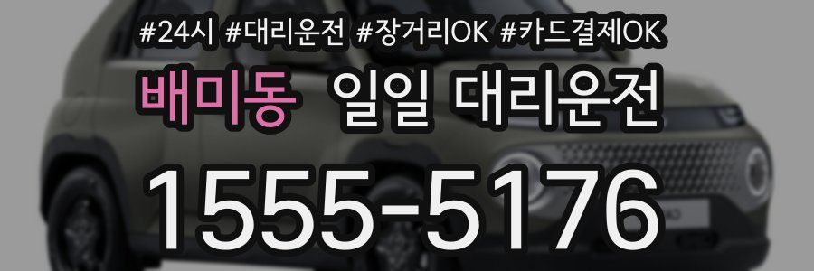 배미동 일일 대리운전