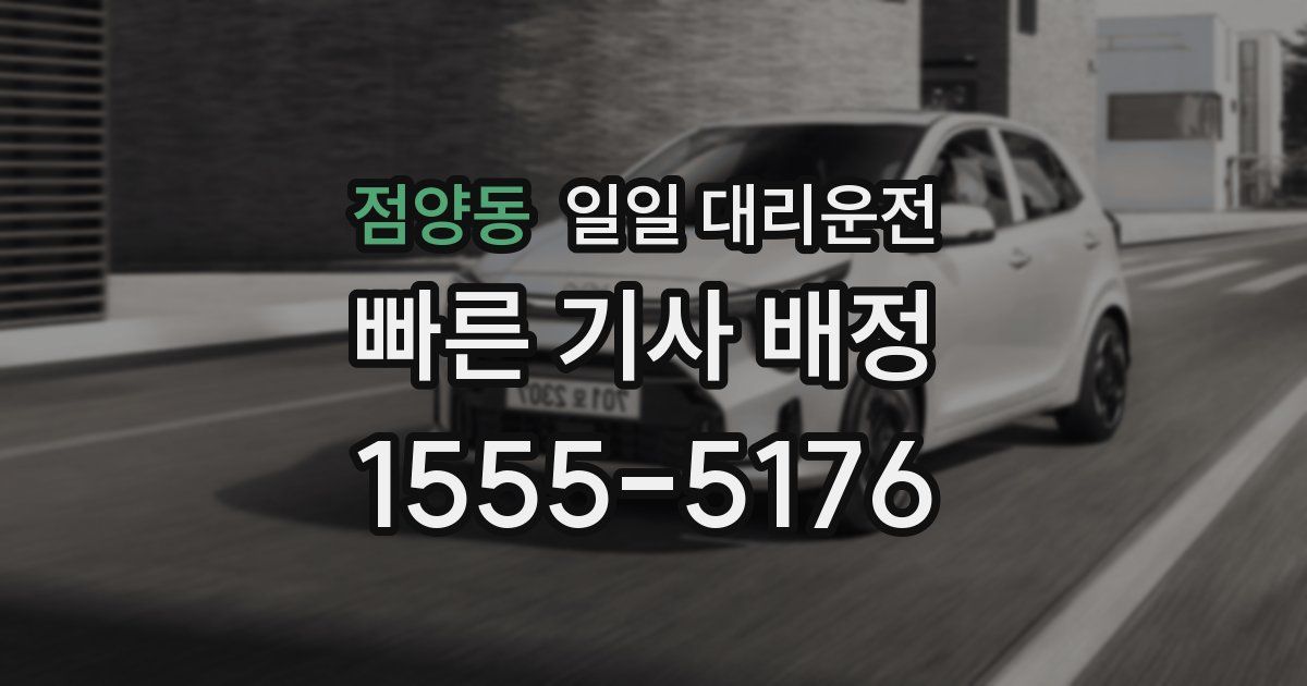 점양동 일일 대리운전