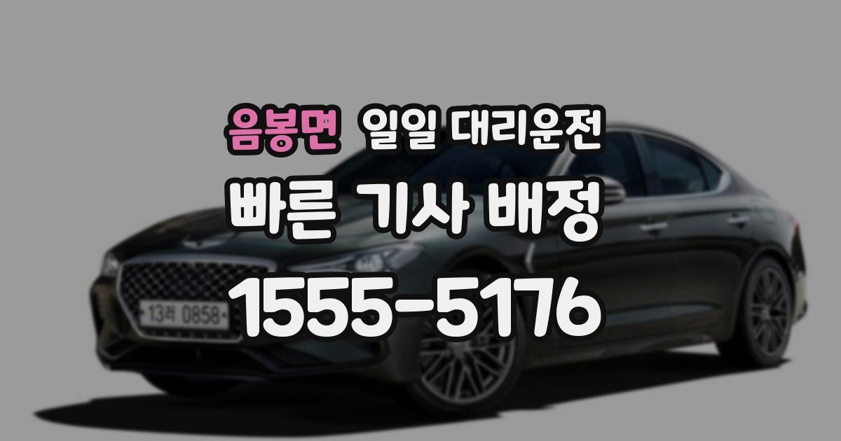 음봉면 일일 대리운전