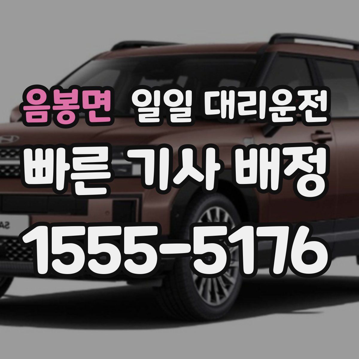 음봉면 일일 대리운전