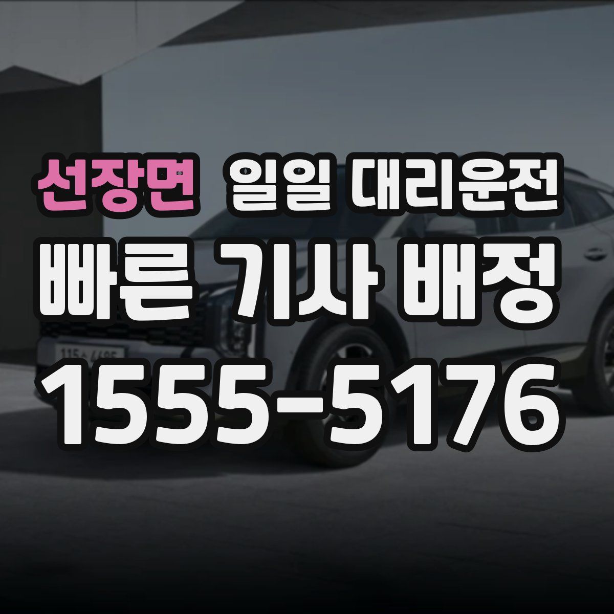 선장면 일일 대리운전