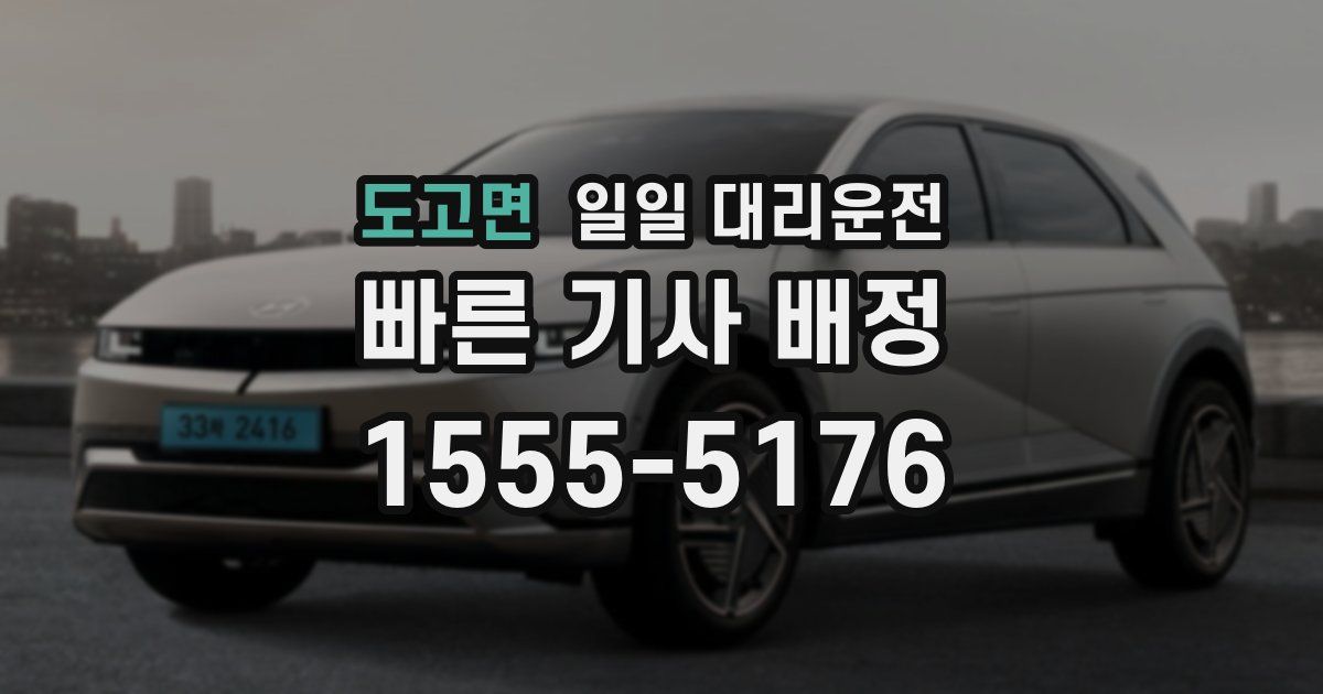 도고면 일일 대리운전
