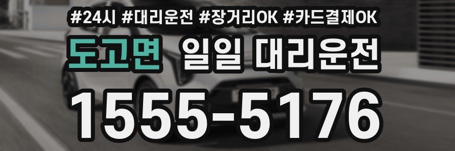 도고면 일일 대리운전
