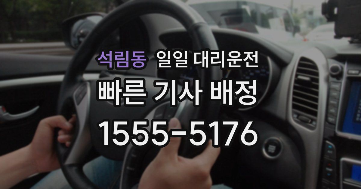 석림동 일일 대리운전