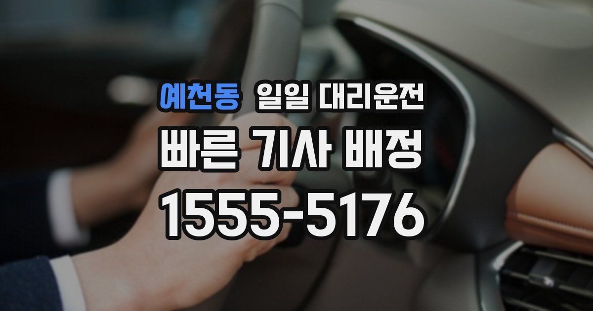 예천동 일일 대리운전