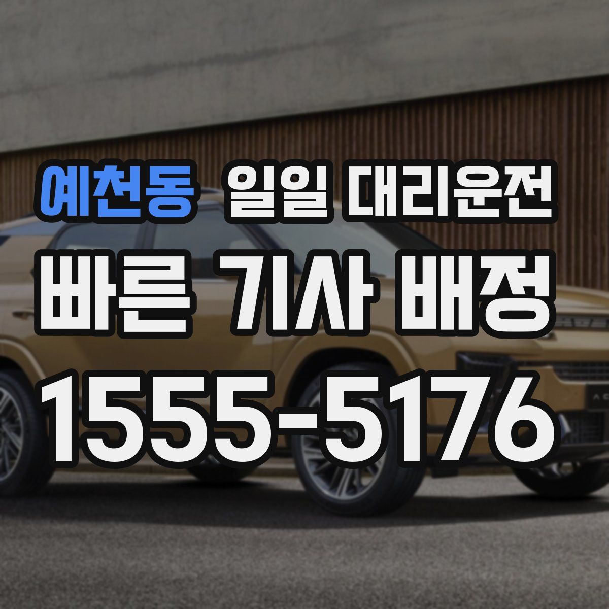 예천동 일일 대리운전