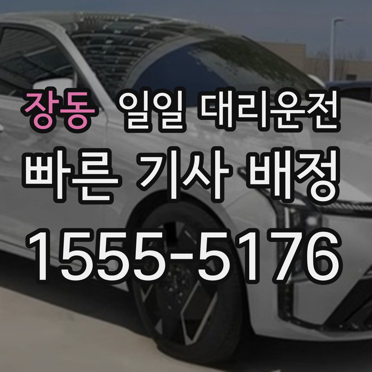 장동 일일 대리운전