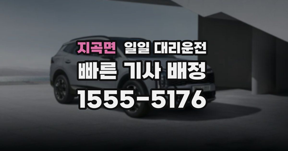 지곡면 일일 대리운전