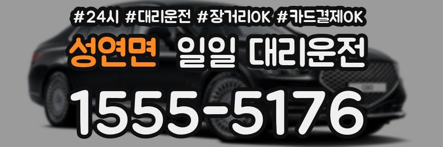 성연면 일일 대리운전