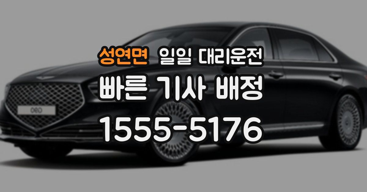 성연면 일일 대리운전