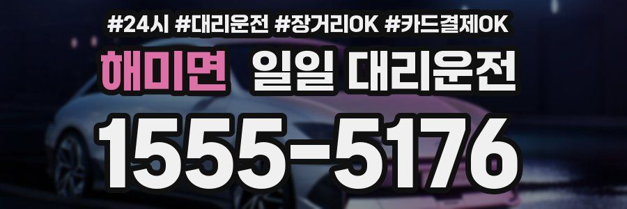 해미면 일일 대리운전