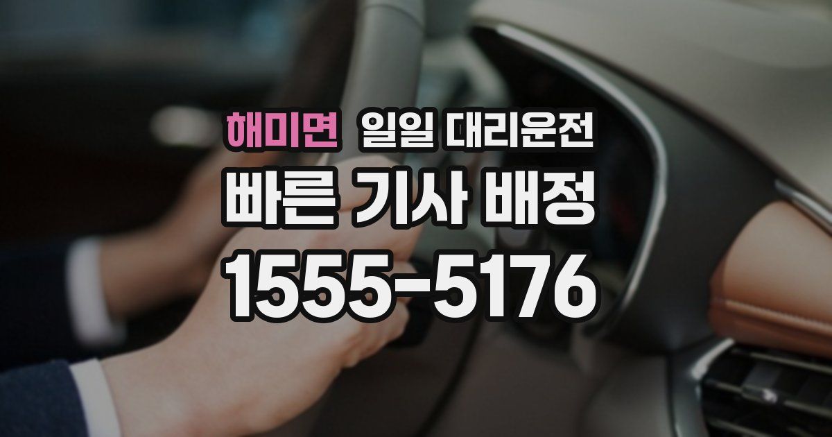 해미면 일일 대리운전