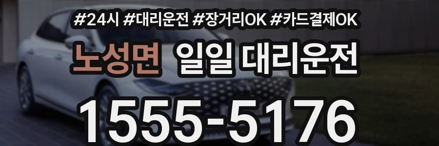 노성면 일일 대리운전