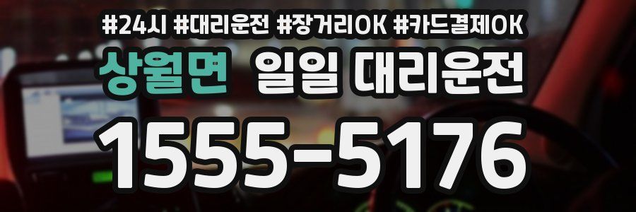 상월면 일일 대리운전