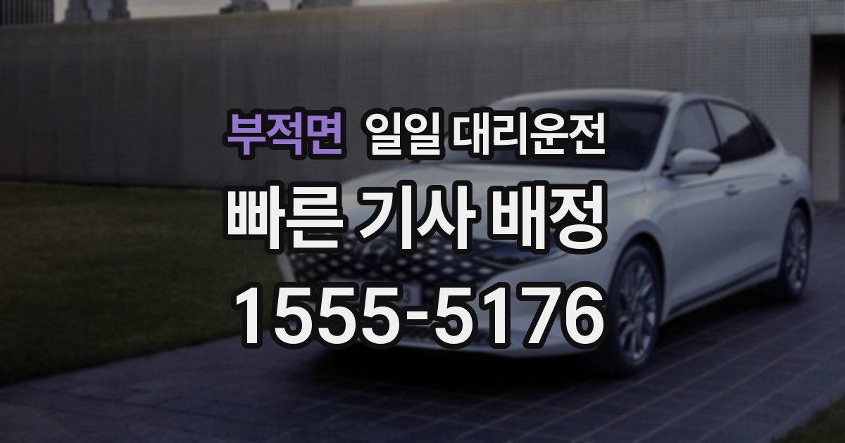 부적면 일일 대리운전
