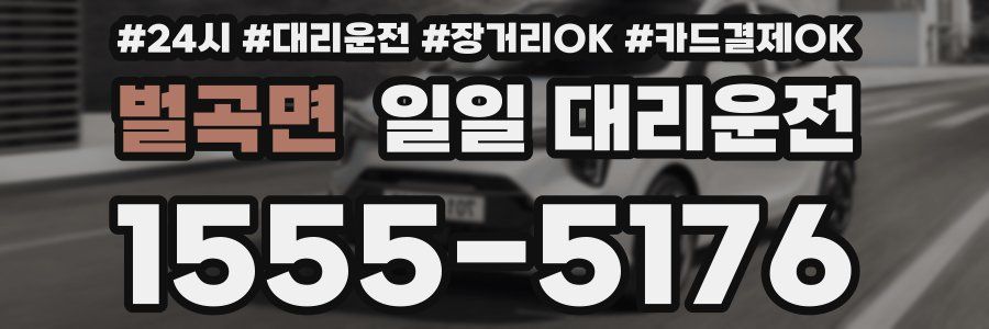 벌곡면 일일 대리운전