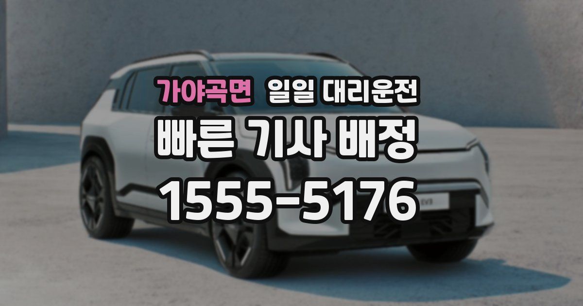가야곡면 일일 대리운전