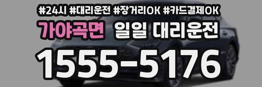 가야곡면 일일 대리운전
