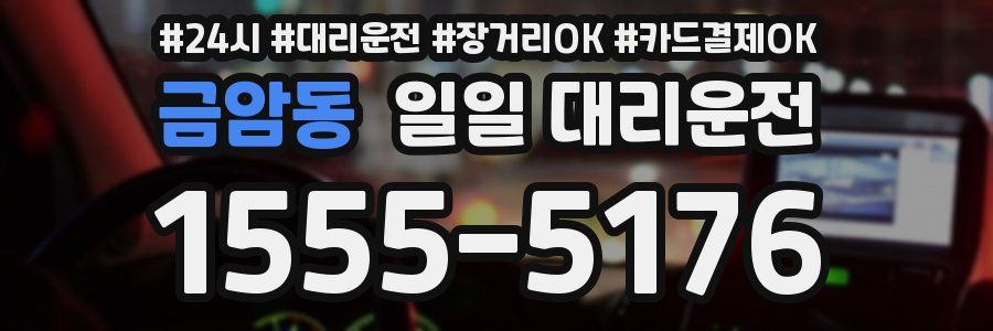 금암동 일일 대리운전