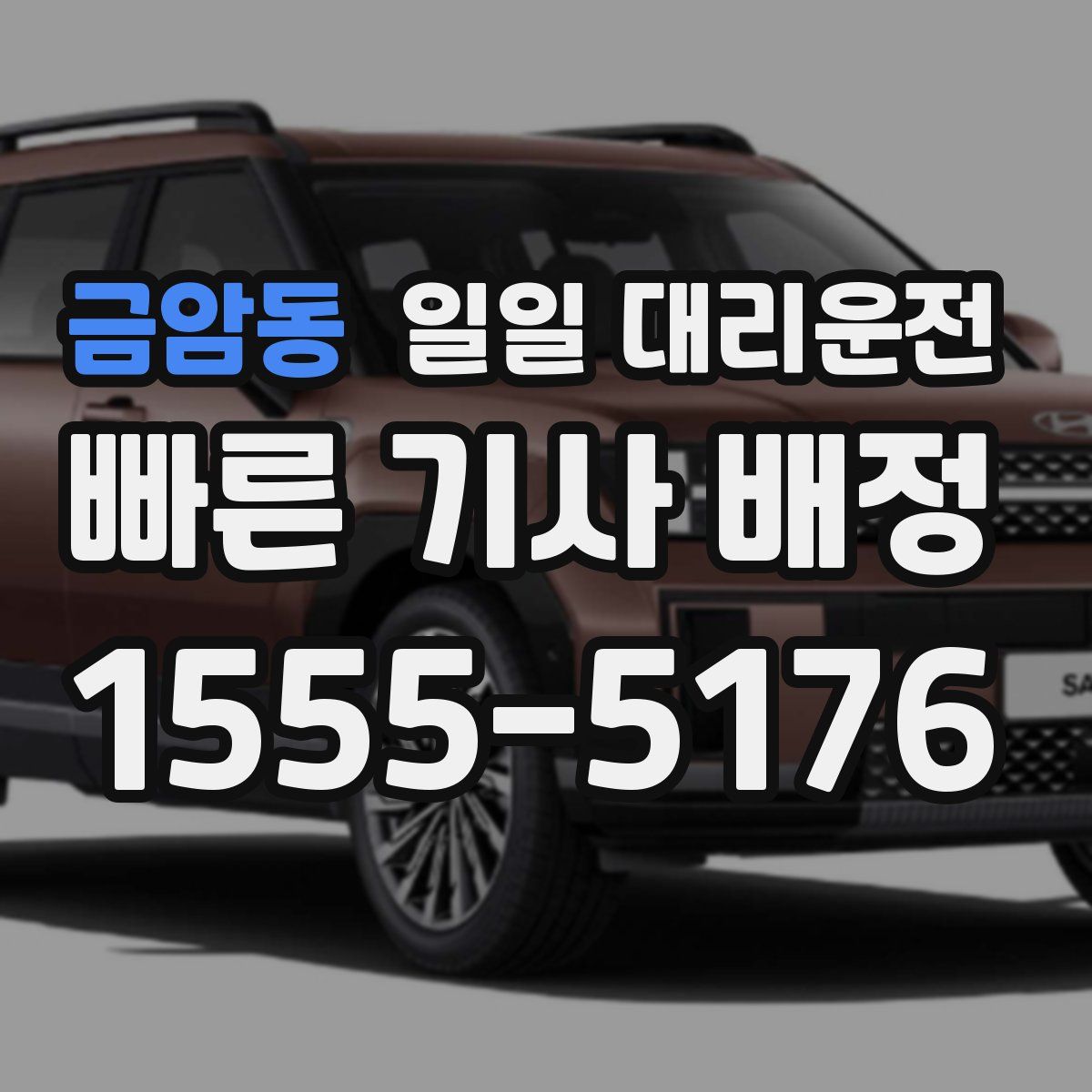 금암동 일일 대리운전