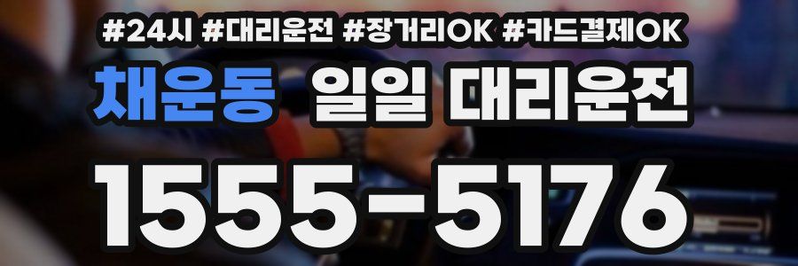 채운동 일일 대리운전