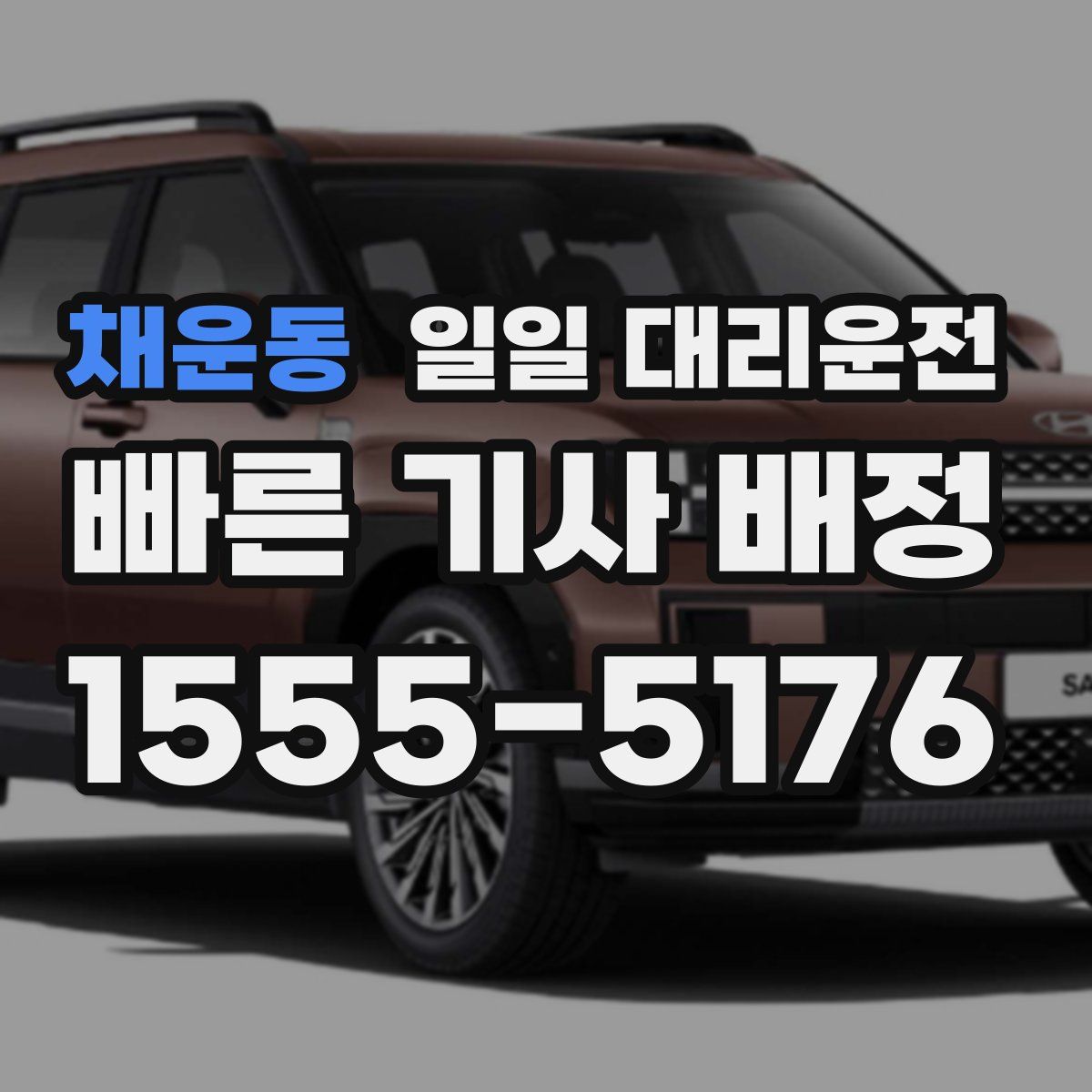 채운동 일일 대리운전