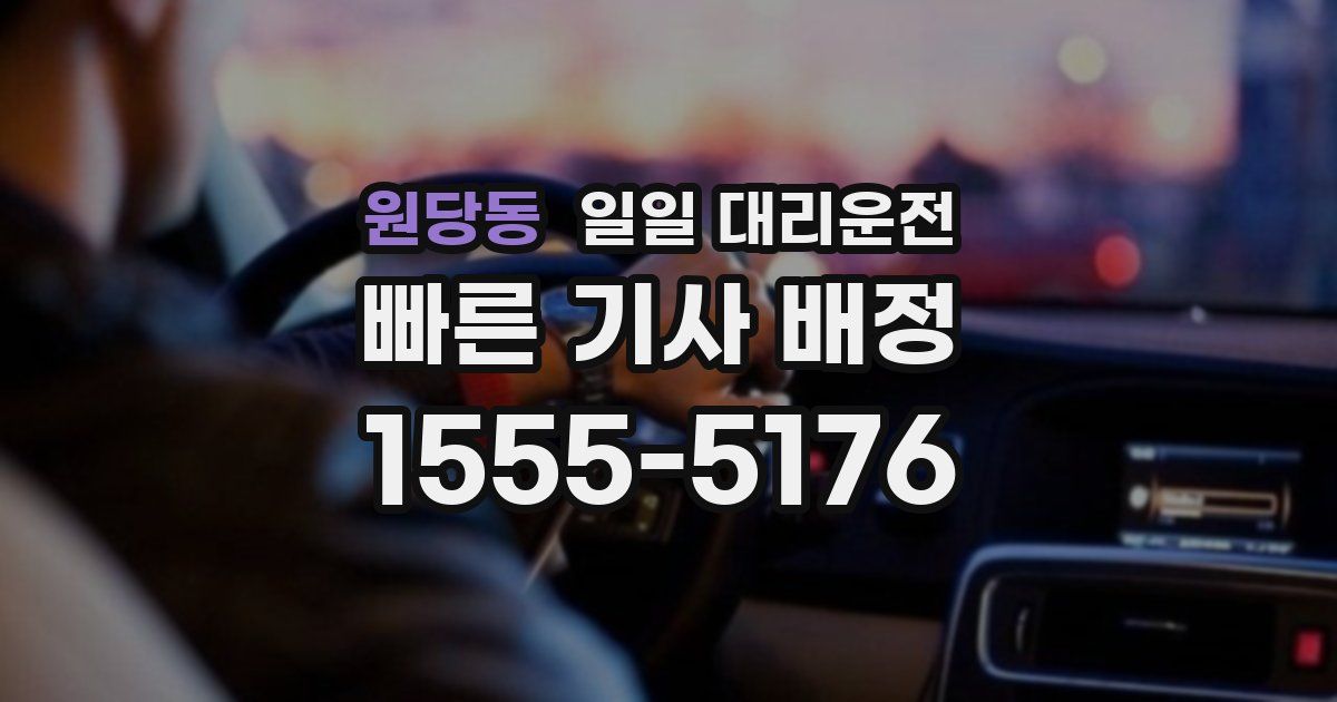 원당동 일일 대리운전