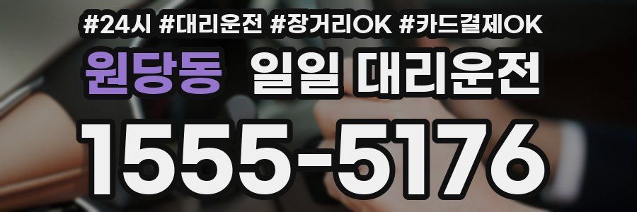 원당동 일일 대리운전