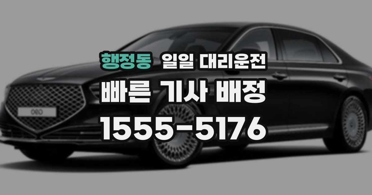 행정동 일일 대리운전