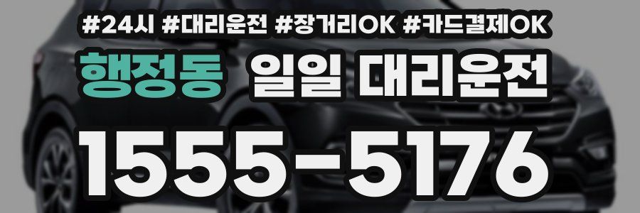 행정동 일일 대리운전