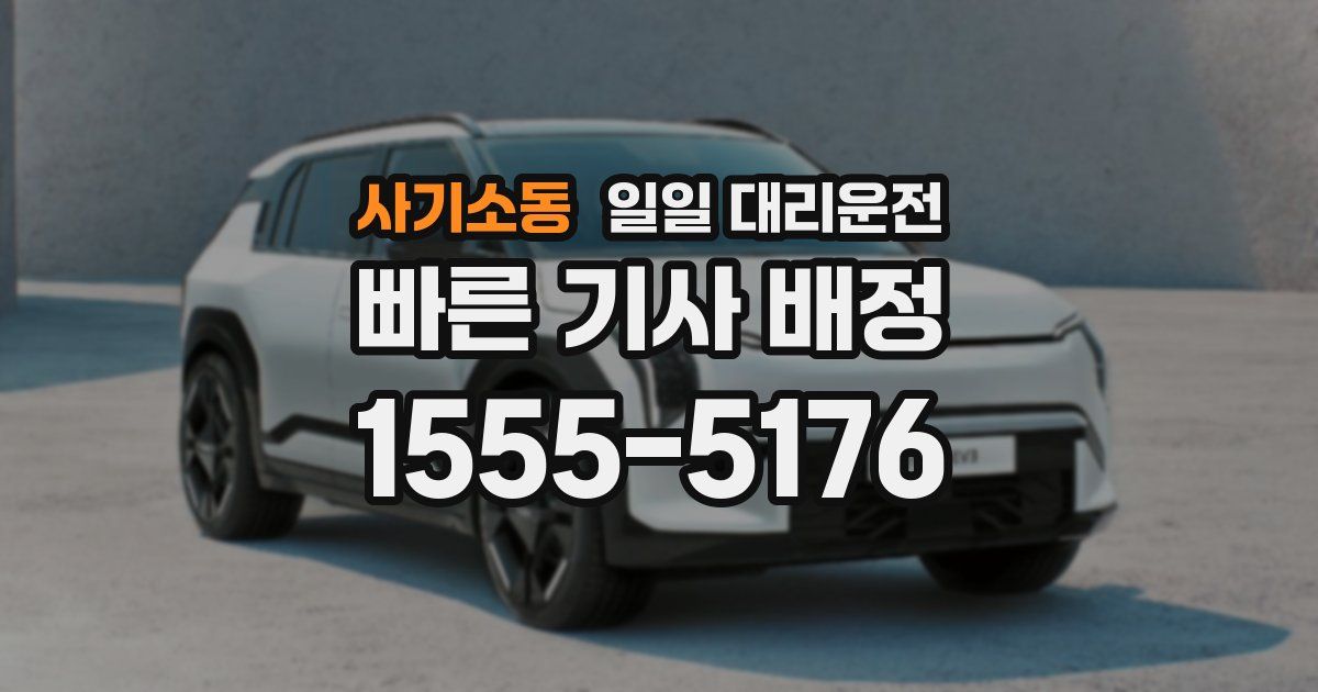 사기소동 일일 대리운전