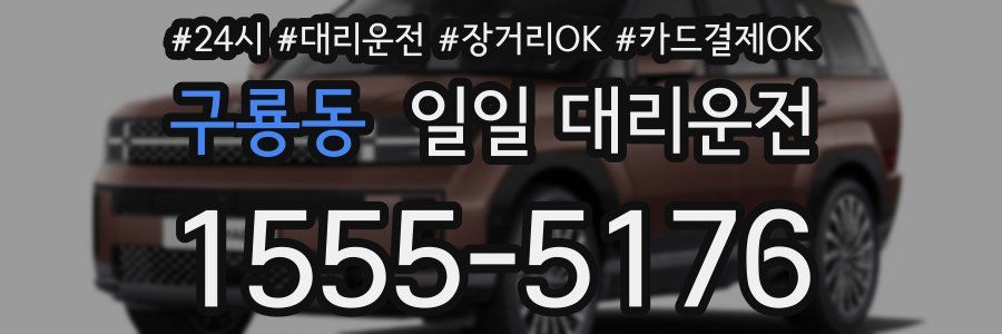 구룡동 일일 대리운전