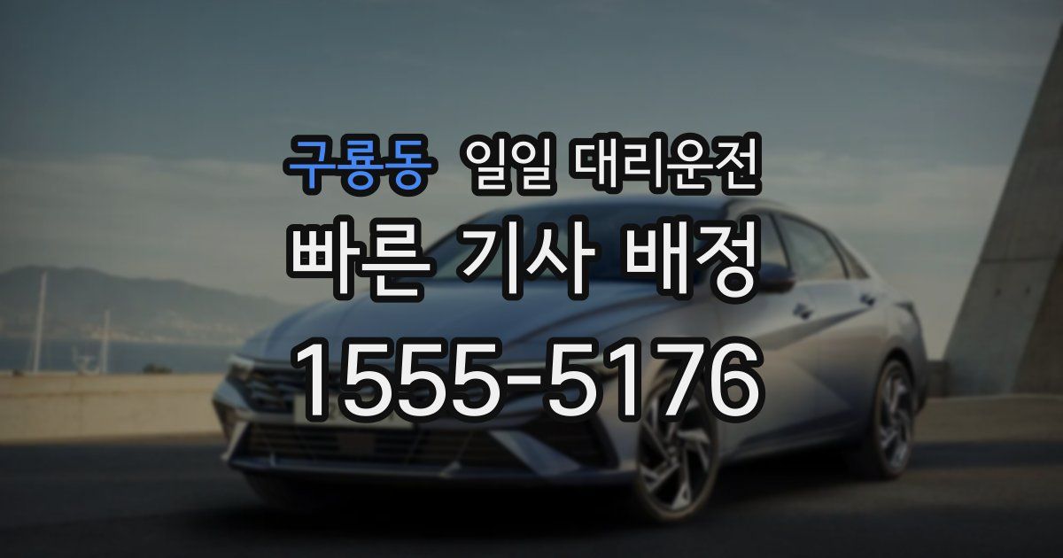구룡동 일일 대리운전