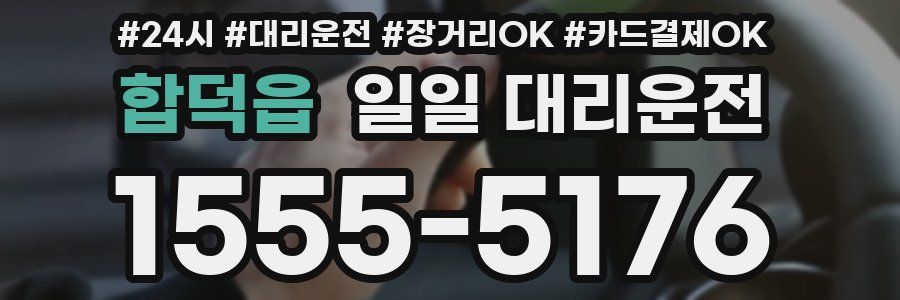 합덕읍 일일 대리운전