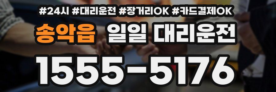 송악읍 일일 대리운전