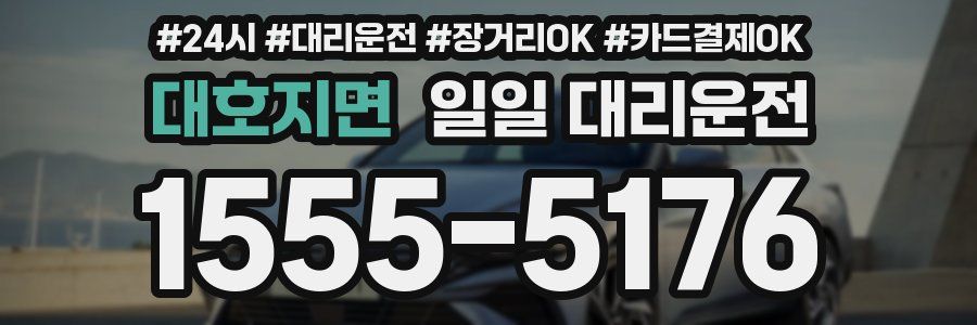 대호지면 일일 대리운전