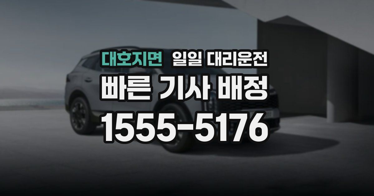 대호지면 일일 대리운전