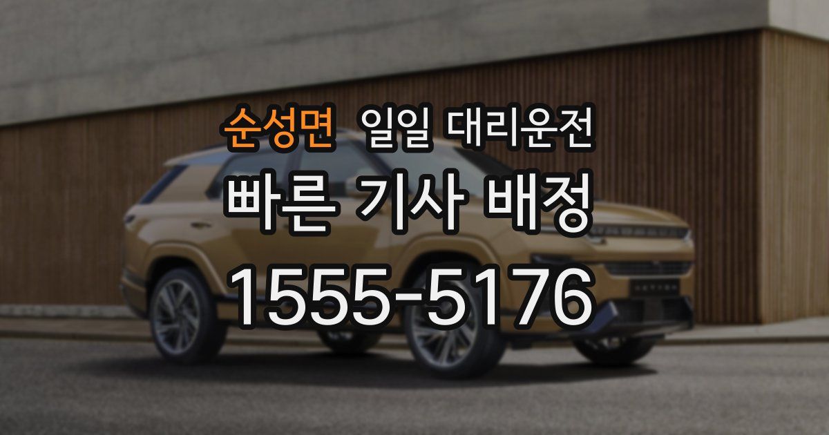 순성면 일일 대리운전