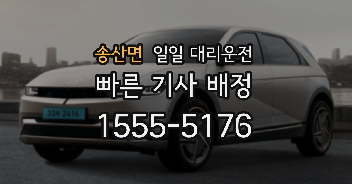 송산면 일일 대리운전