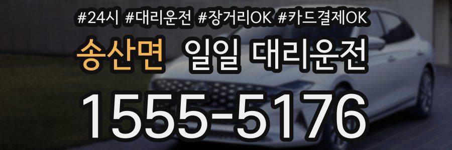 송산면 일일 대리운전