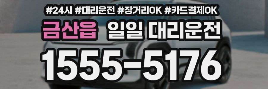 금산읍 일일 대리운전