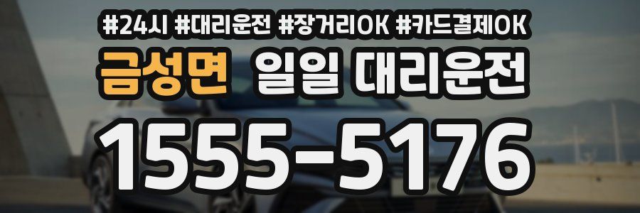 금성면 일일 대리운전