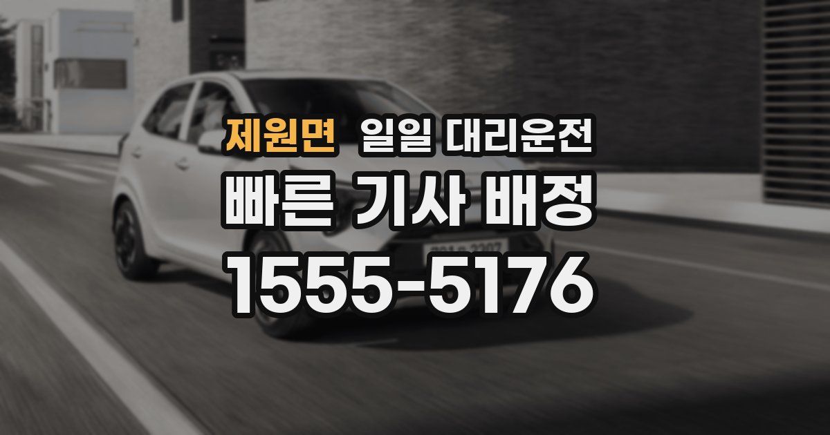 제원면 일일 대리운전