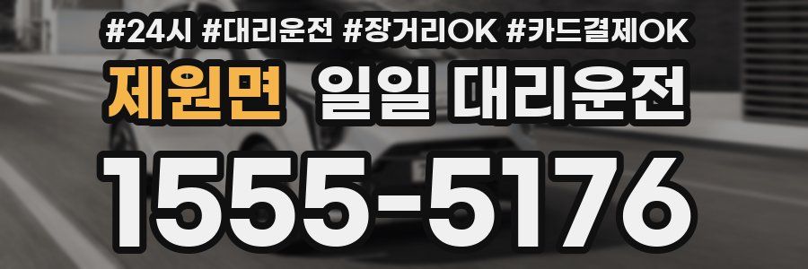 제원면 일일 대리운전