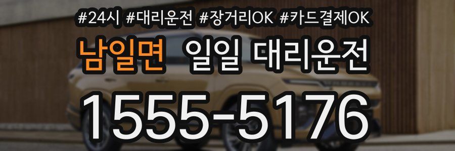 남일면 일일 대리운전