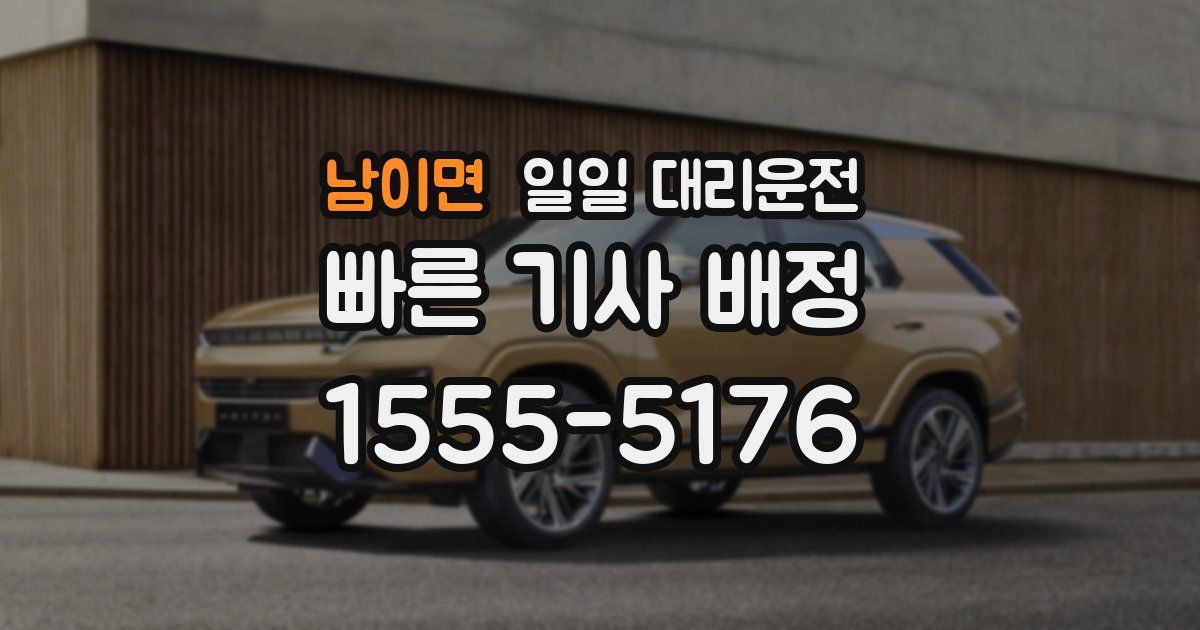 남이면 일일 대리운전