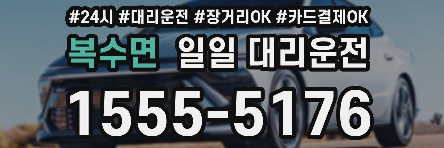 복수면 일일 대리운전