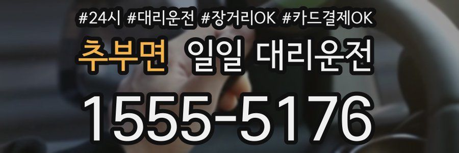 추부면 일일 대리운전