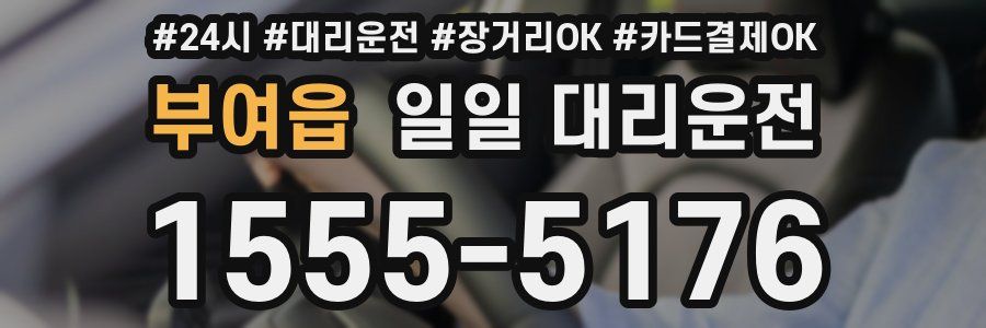 부여읍 일일 대리운전