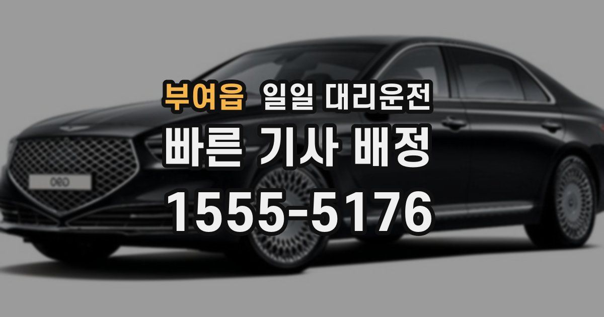 부여읍 일일 대리운전